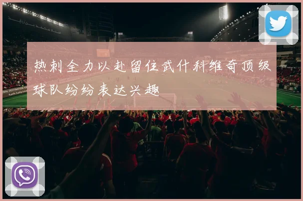 热刺全力以赴留住武什科维奇顶级球队纷纷表达兴趣